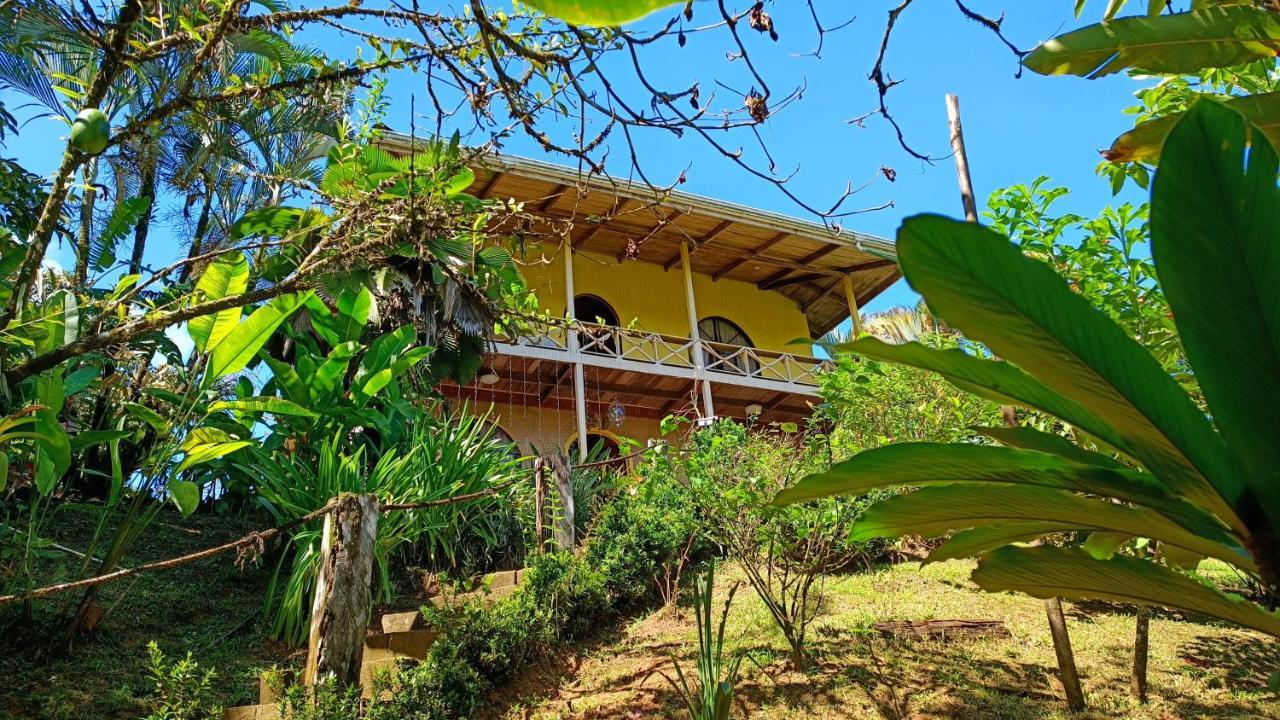 Cabanas Tico Gringo Drakes Bay エクステリア 写真