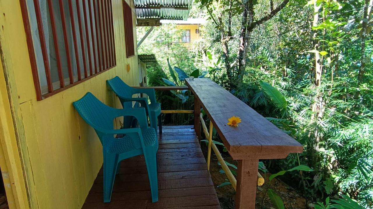 Cabanas Tico Gringo Drakes Bay エクステリア 写真