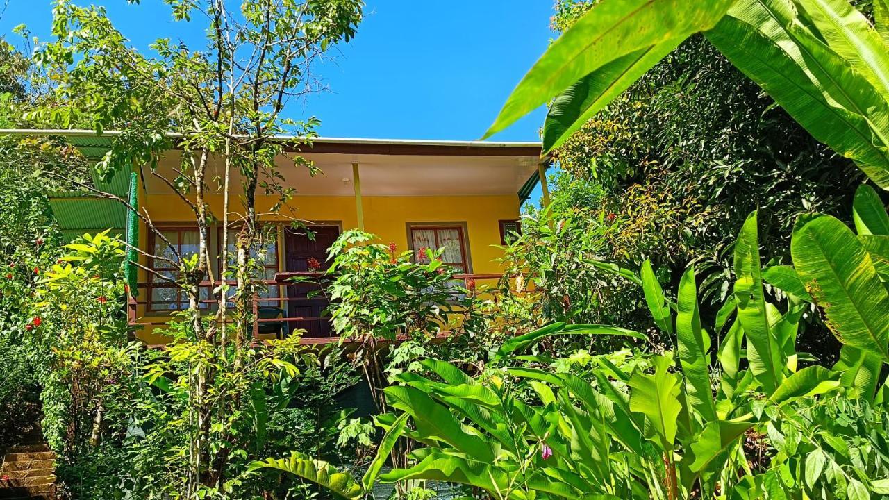 Cabanas Tico Gringo Drakes Bay エクステリア 写真