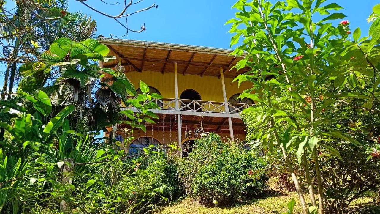 Cabanas Tico Gringo Drakes Bay エクステリア 写真