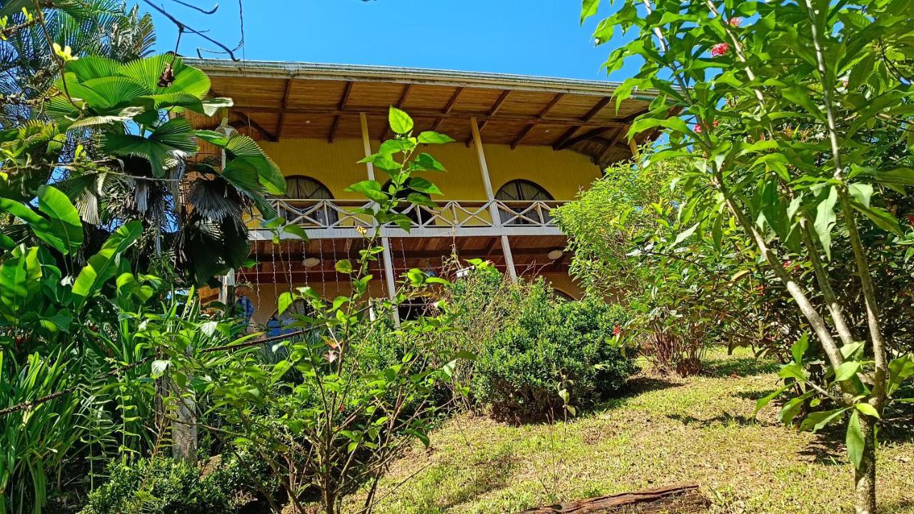 Cabanas Tico Gringo Drakes Bay エクステリア 写真