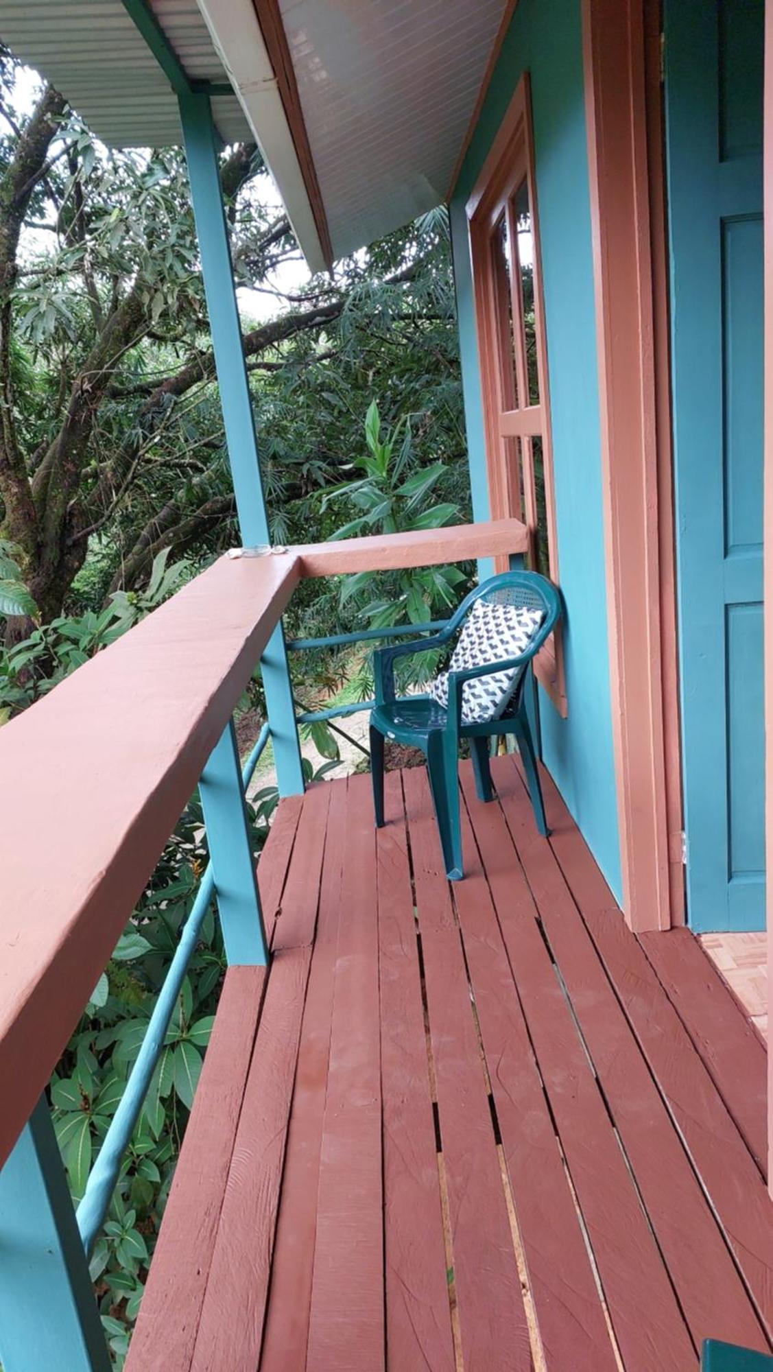Cabanas Tico Gringo Drakes Bay エクステリア 写真