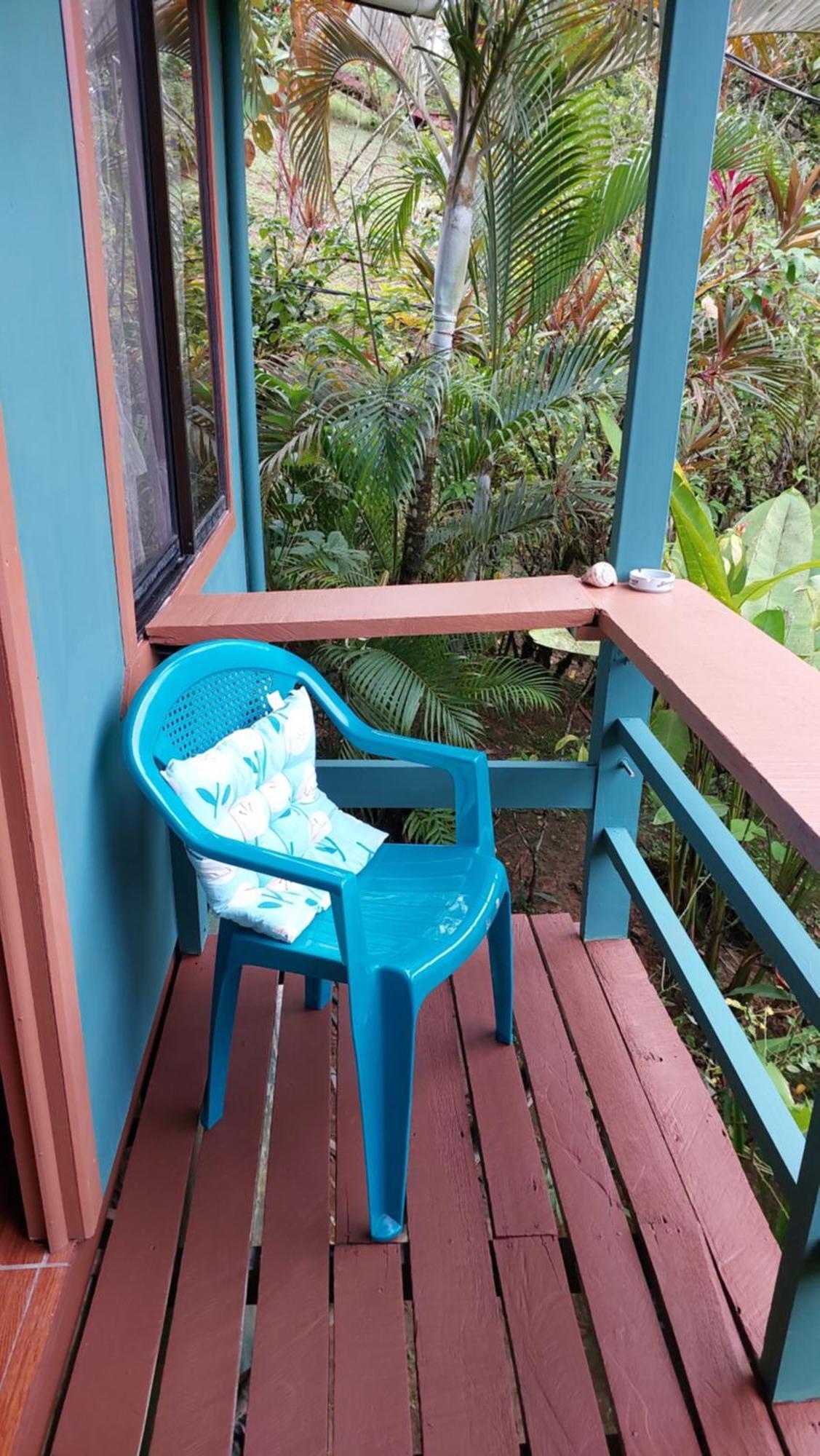 Cabanas Tico Gringo Drakes Bay エクステリア 写真